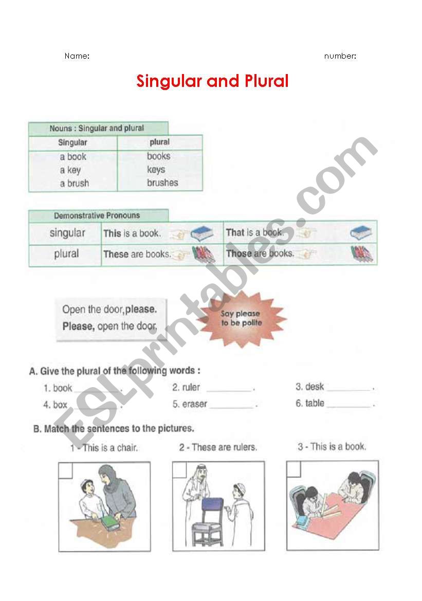 Singular and plural worksheet