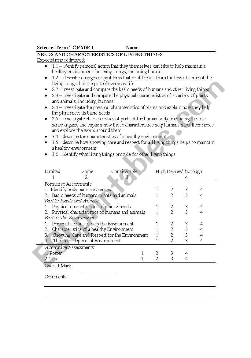 Rubric worksheet