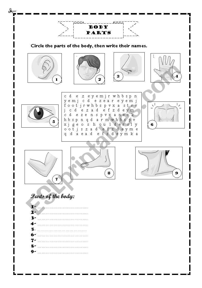 Body Parts worksheet