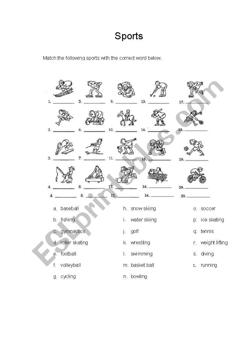 Sports Vocabulary worksheet