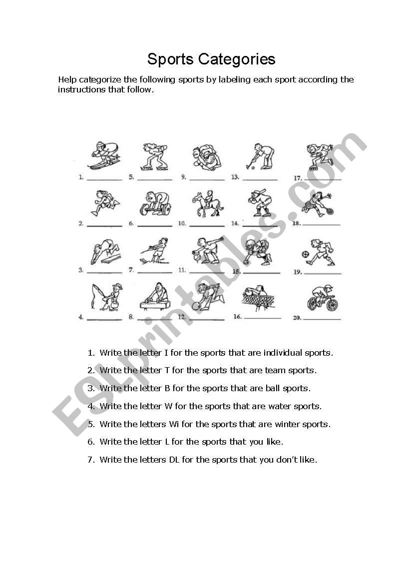 Sports Categories worksheet