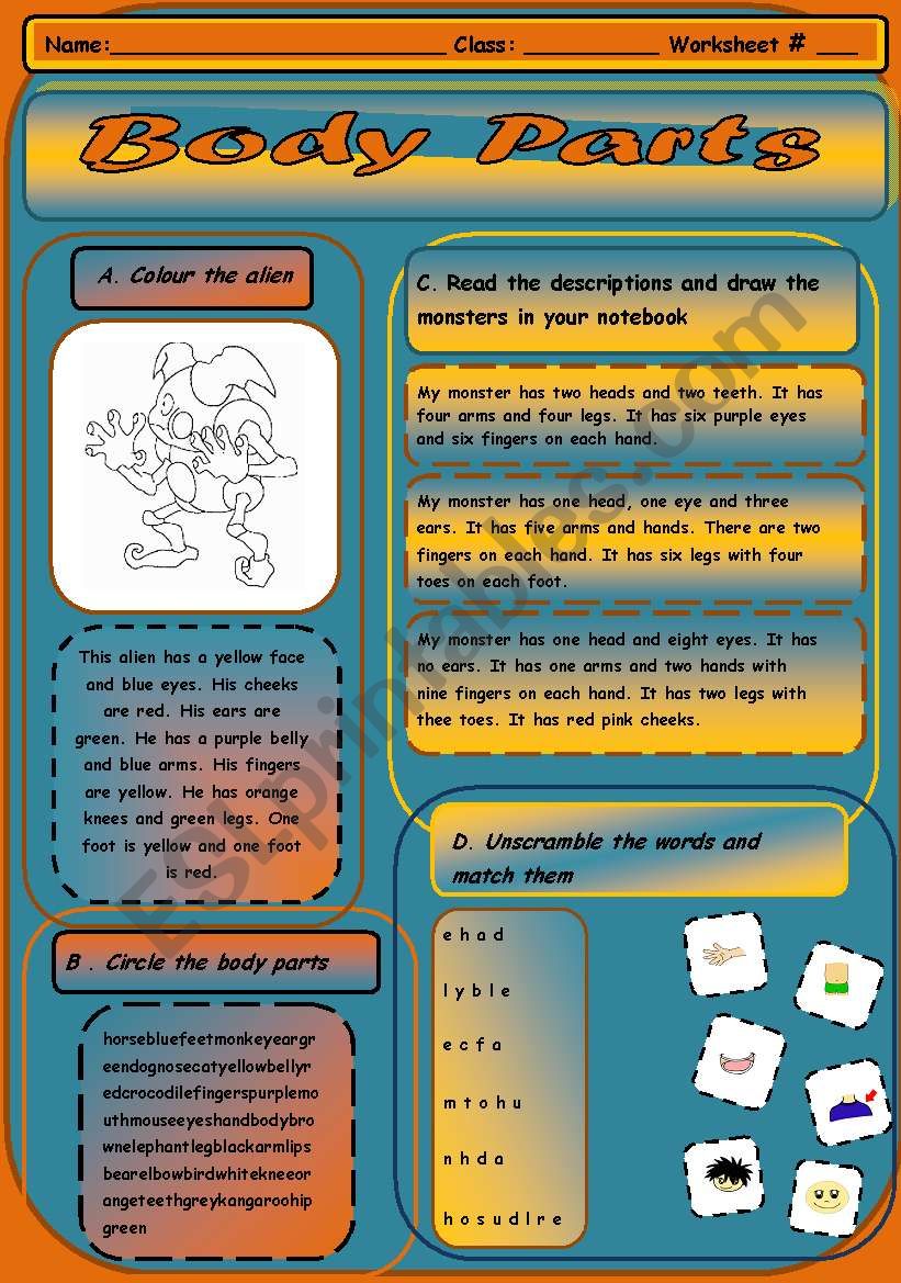 Body Parts Worksheet worksheet