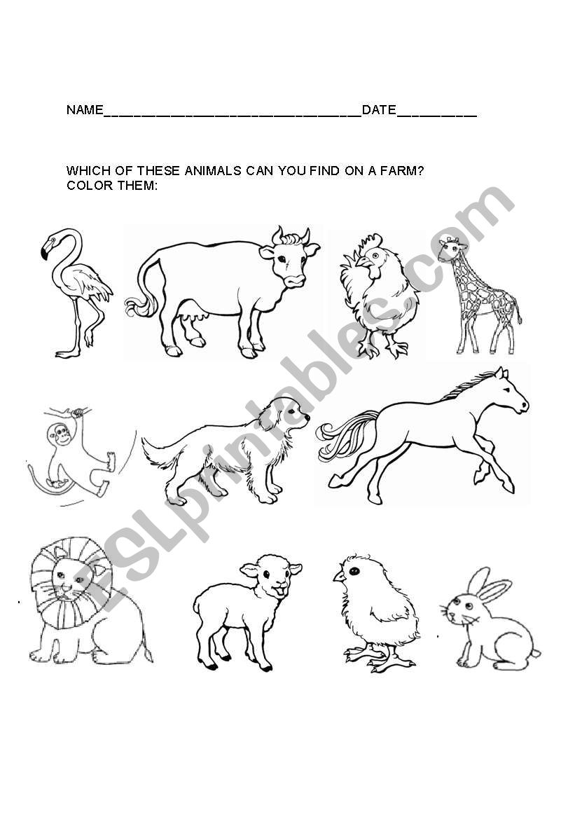 Farm animals worksheet