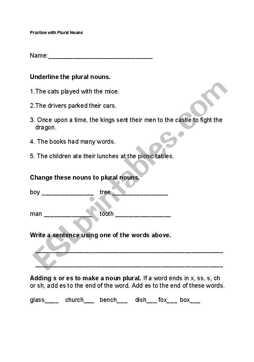 Practice with Plural Nouns worksheet