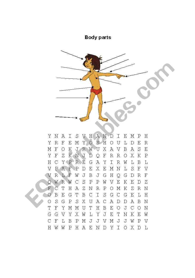 body parts worksheet