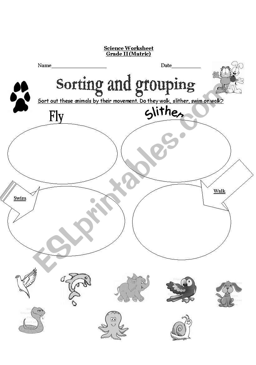 sorting and grouping worksheet