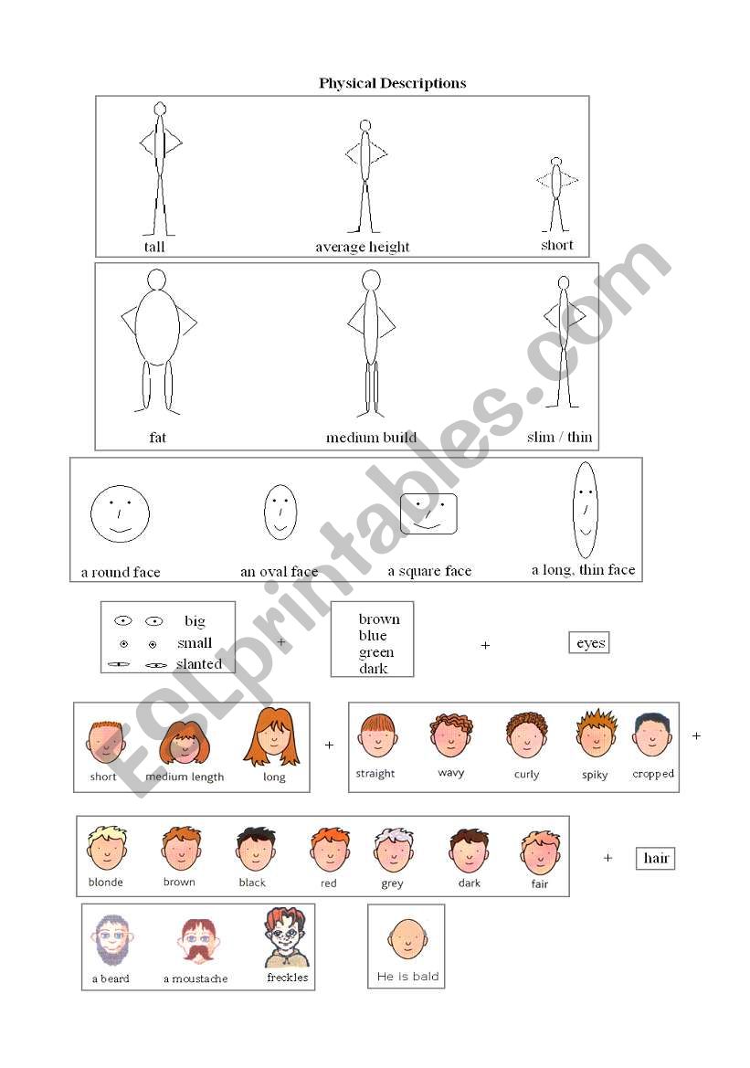 Describing people physically worksheet