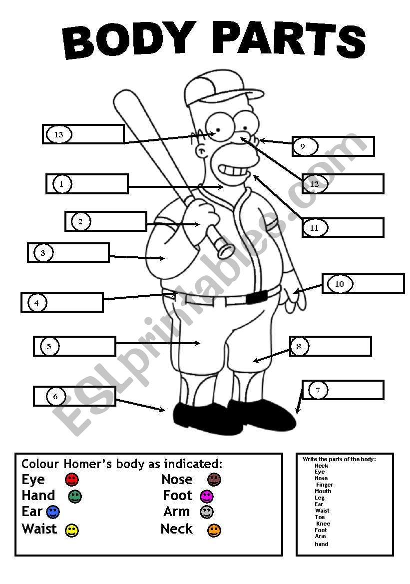 HOMERS BODY PARTS worksheet