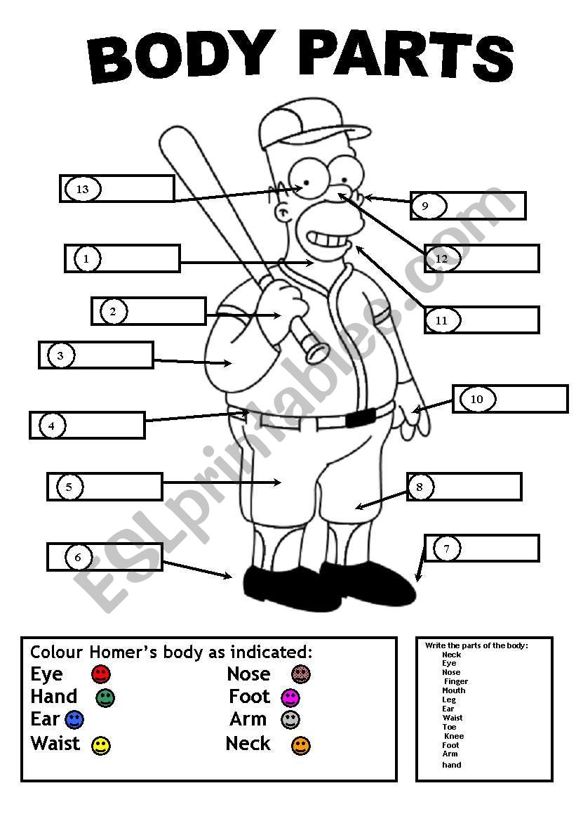 HOMERÂ´S BODY PARTS worksheet