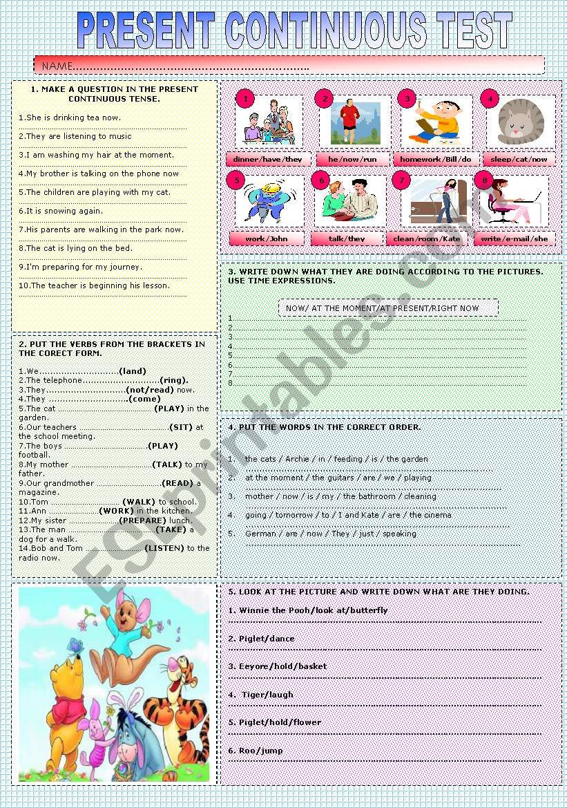 Present Continuous TEST worksheet