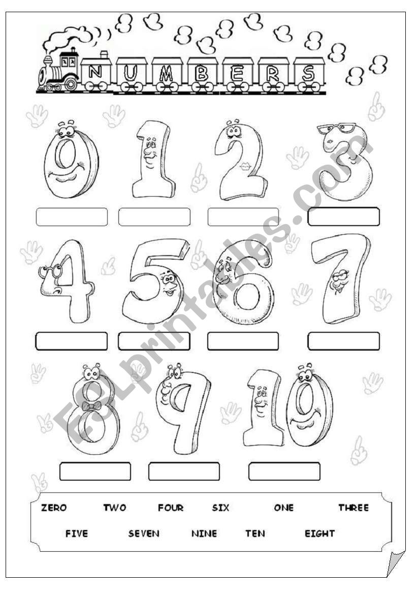 Numbers worksheet