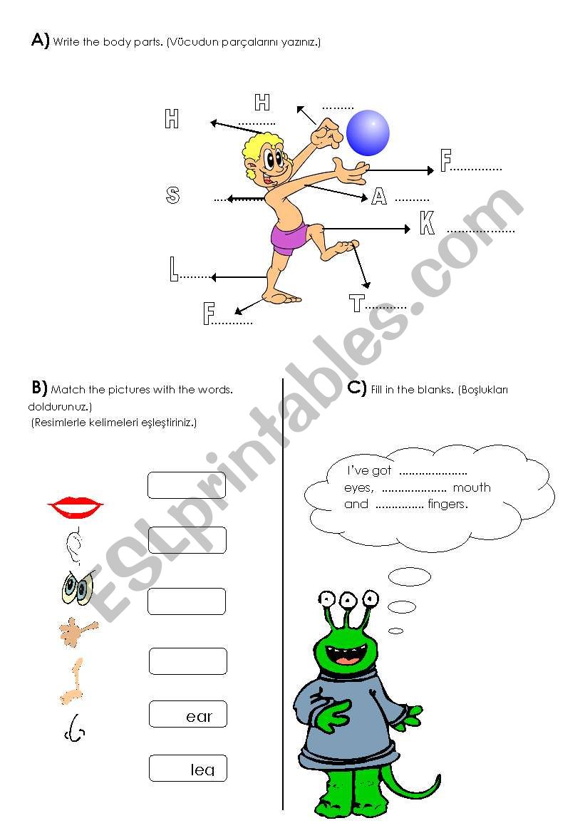 Body  worksheet