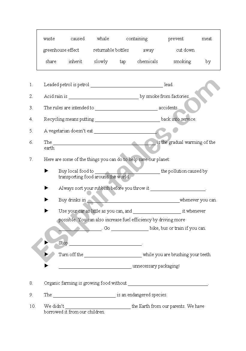 Environment - Vocabulary worksheet