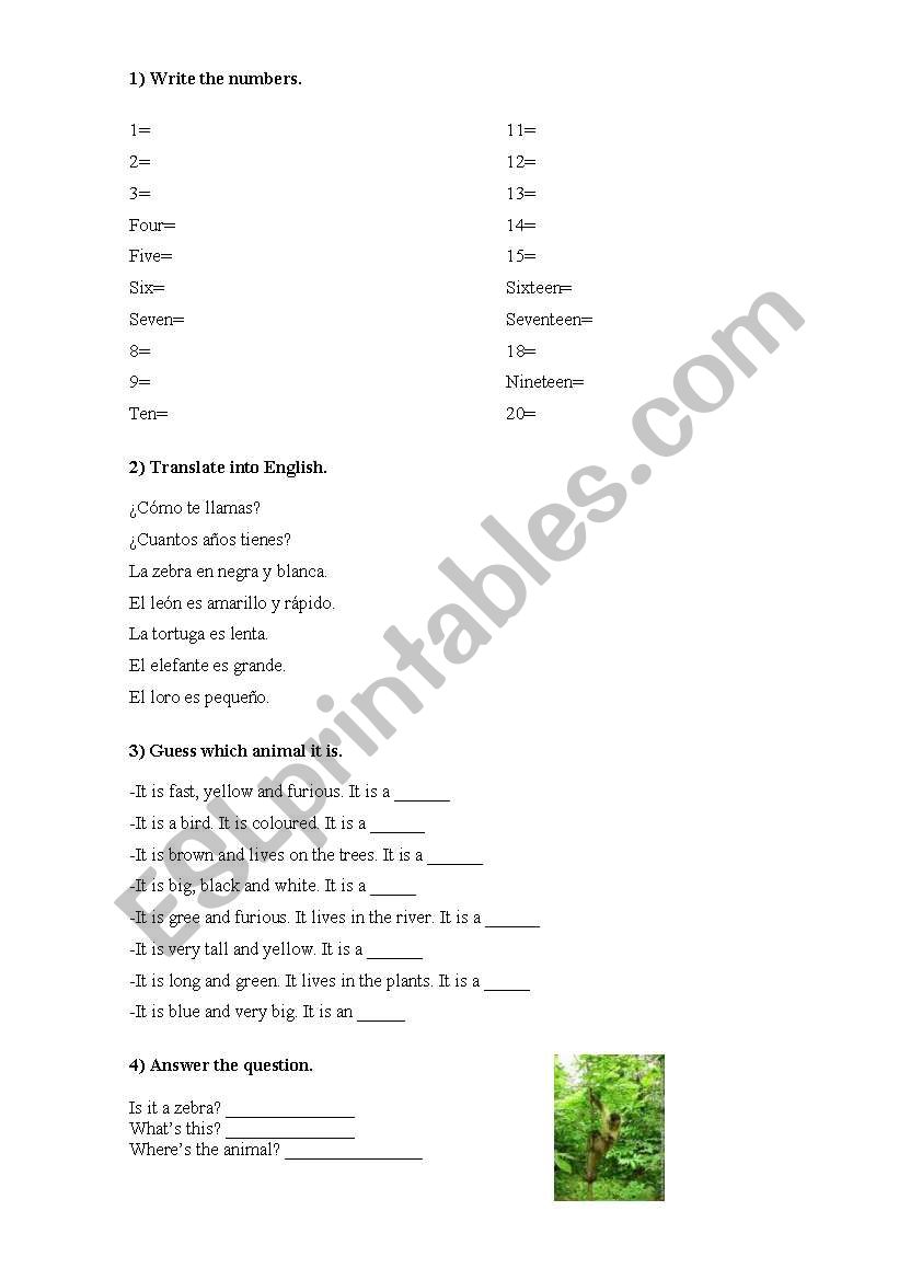 Revision 3rd course primary school