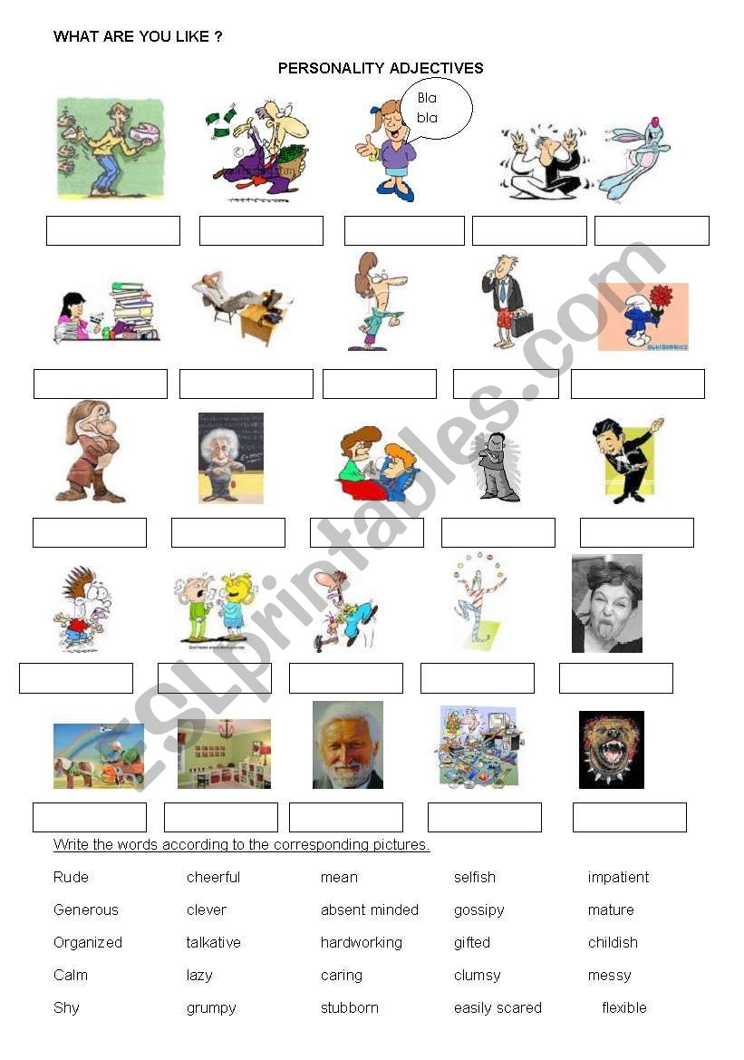 personality adjectives worksheet