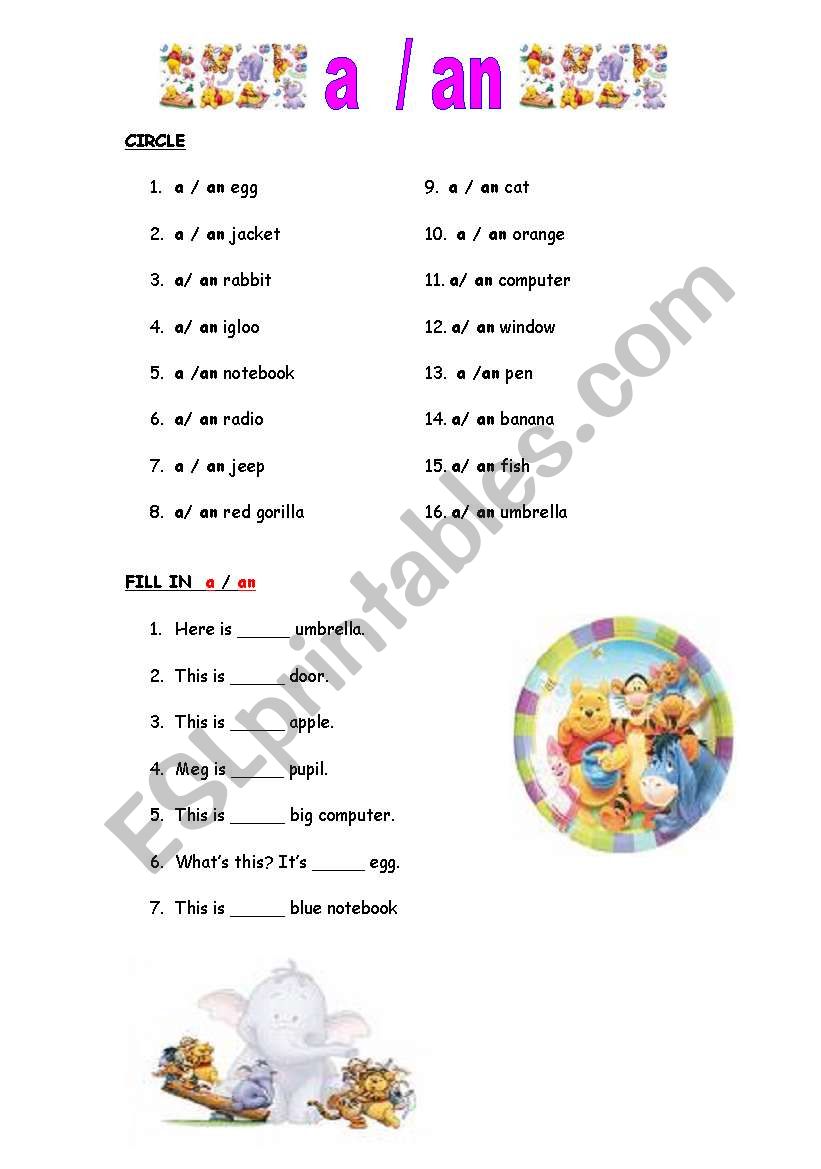 exercise : a / an worksheet