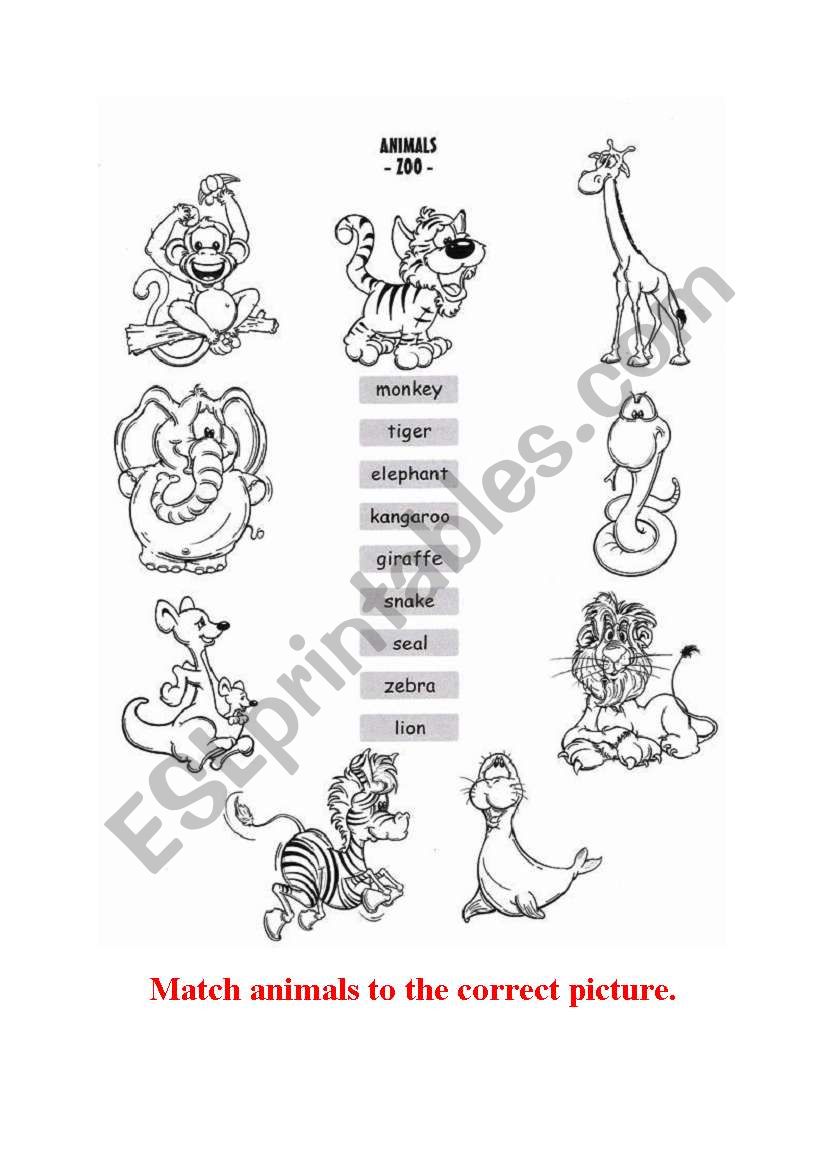 animals - zoo worksheet