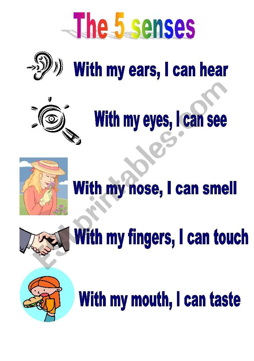 THE 5 SENSES  worksheet