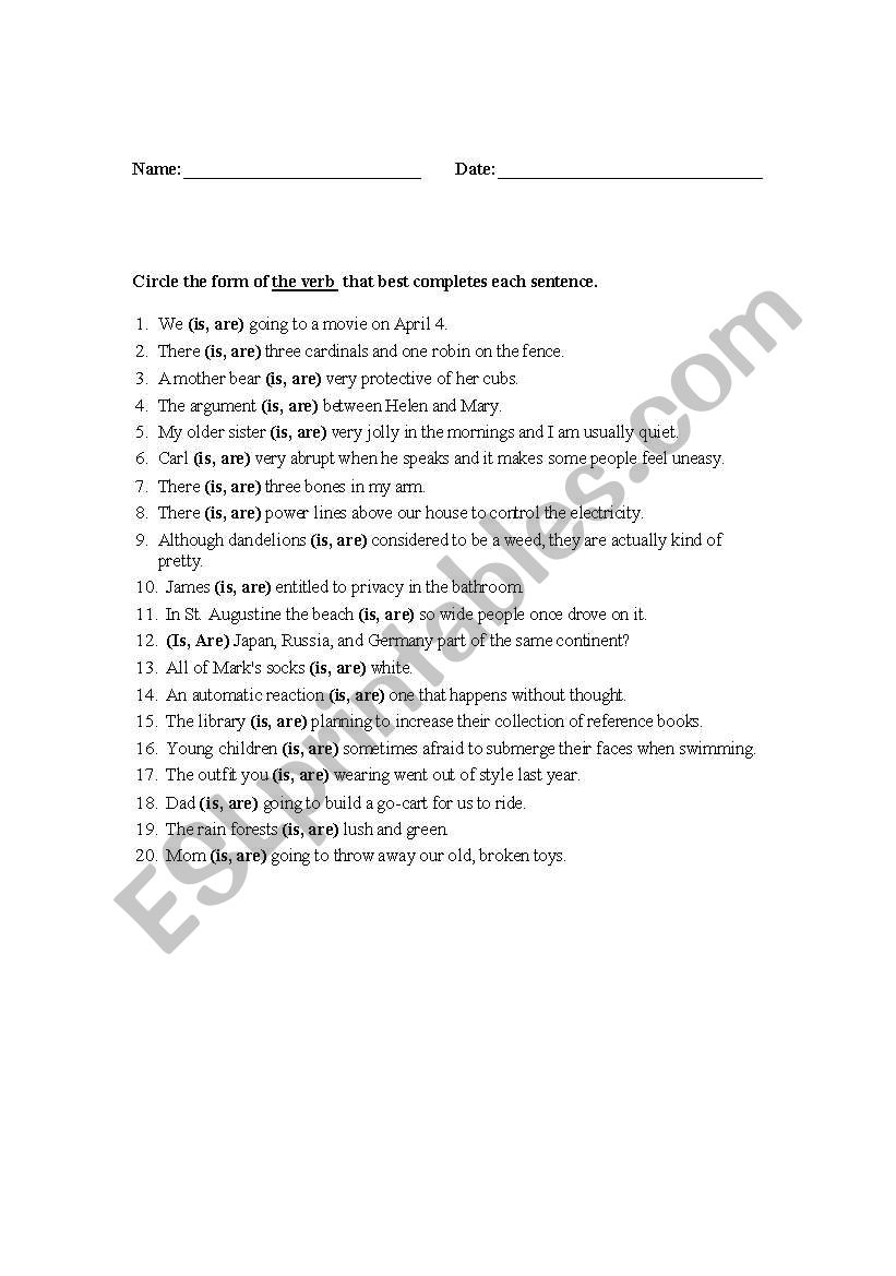 Insect test worksheet