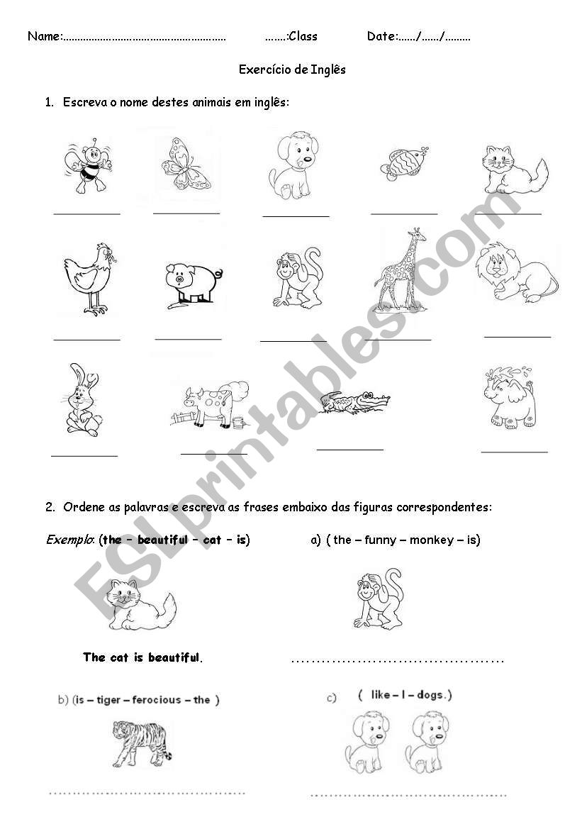 Exercises on animals worksheet