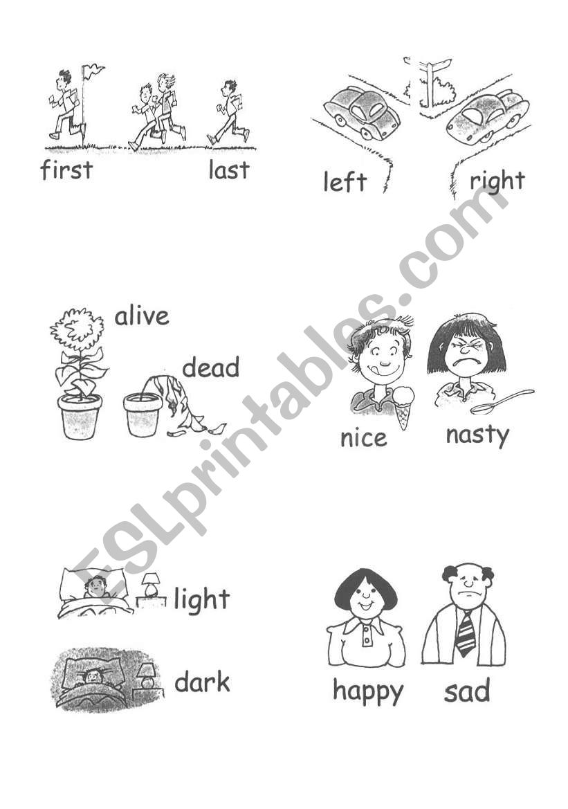 opposites2 worksheet