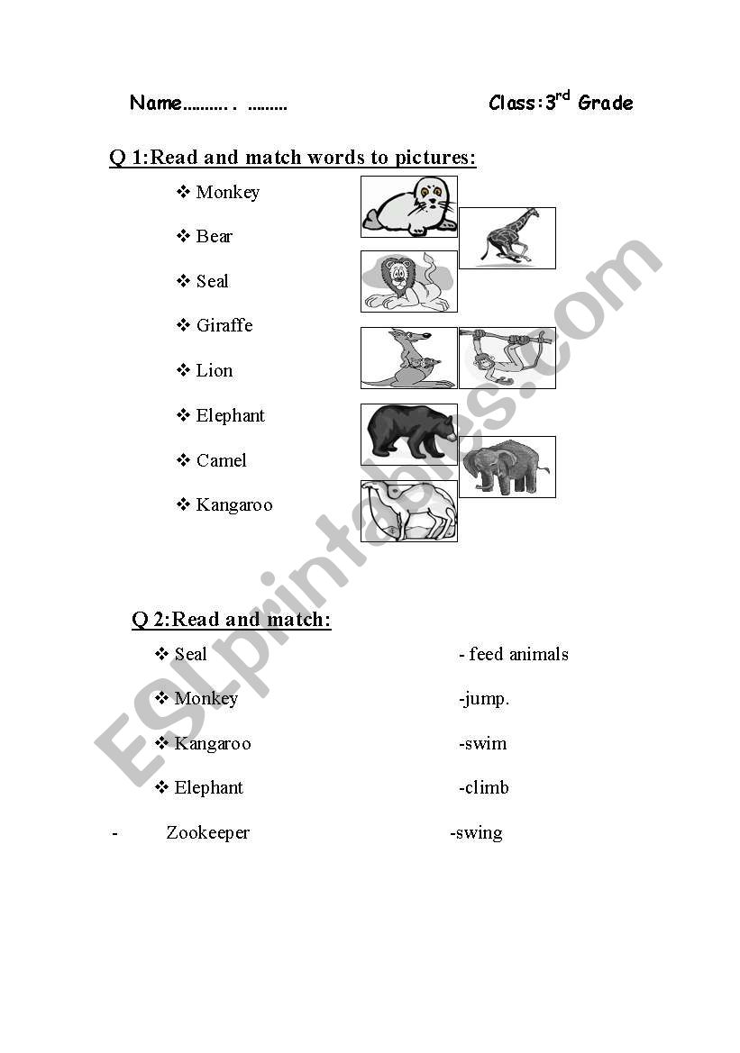 animal worksheet