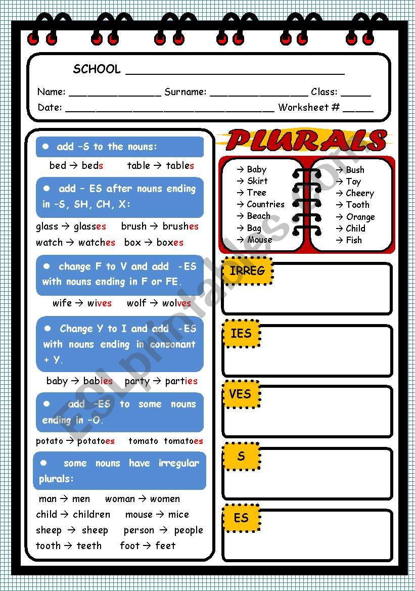 PLURAL OF NOUNS worksheet