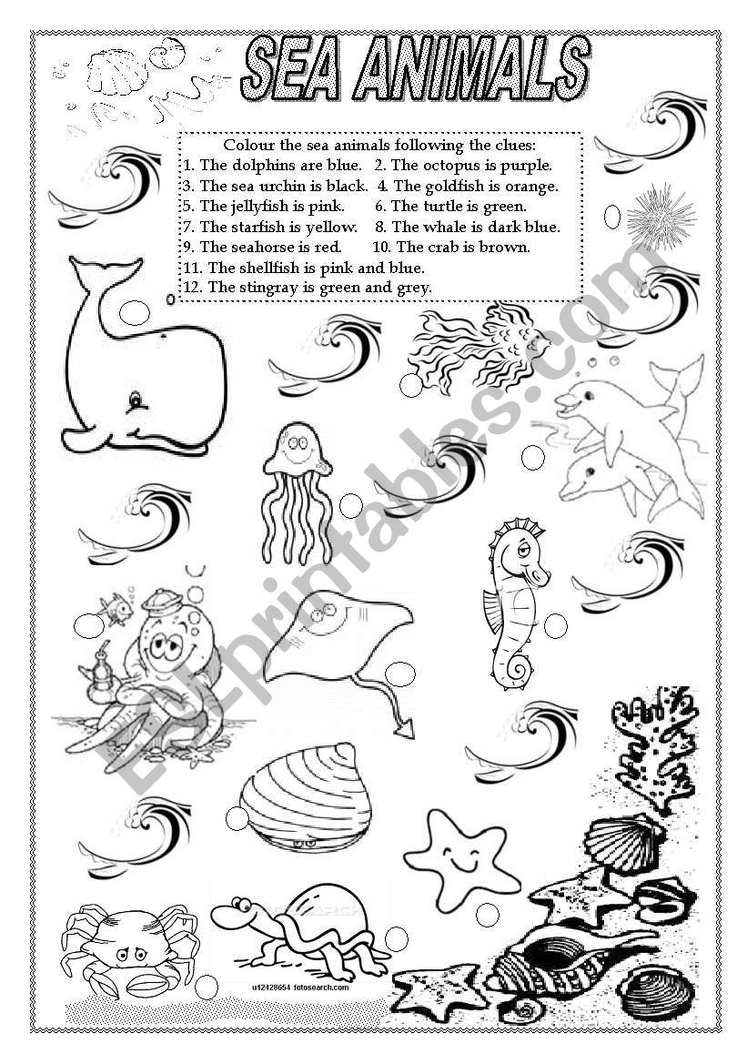 Sea animals worksheet