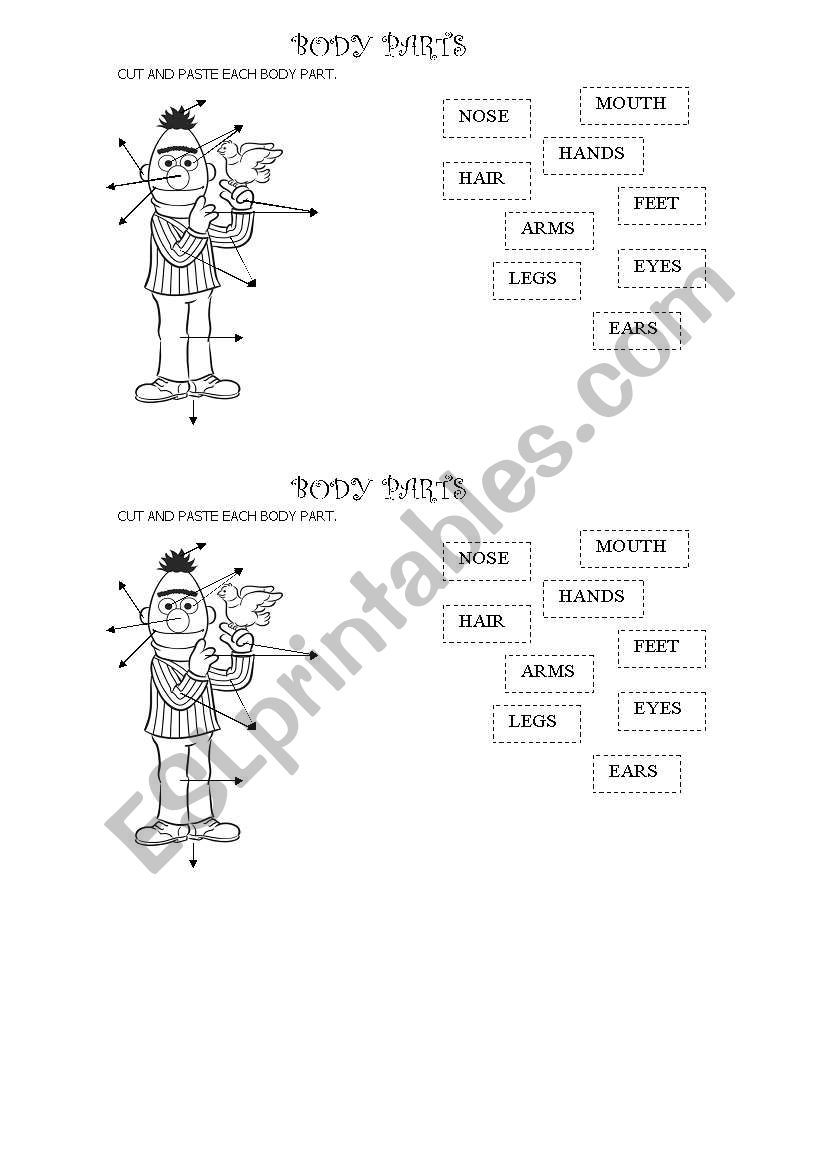 body parts worksheet worksheet