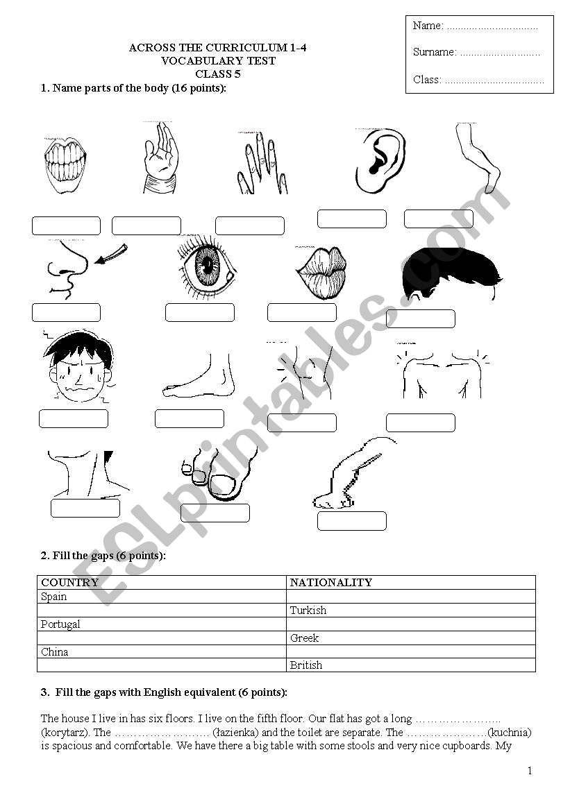 check your vocab worksheet