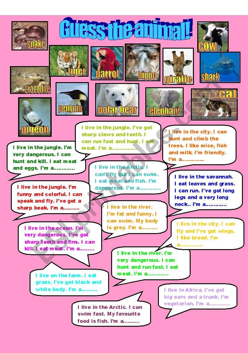 Animals worksheet