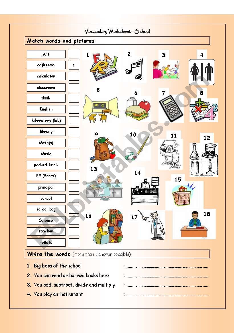 Vocabulary Matching Worksheet - SCHOOL
