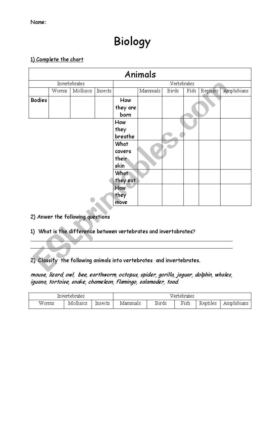 biology - animals and categories