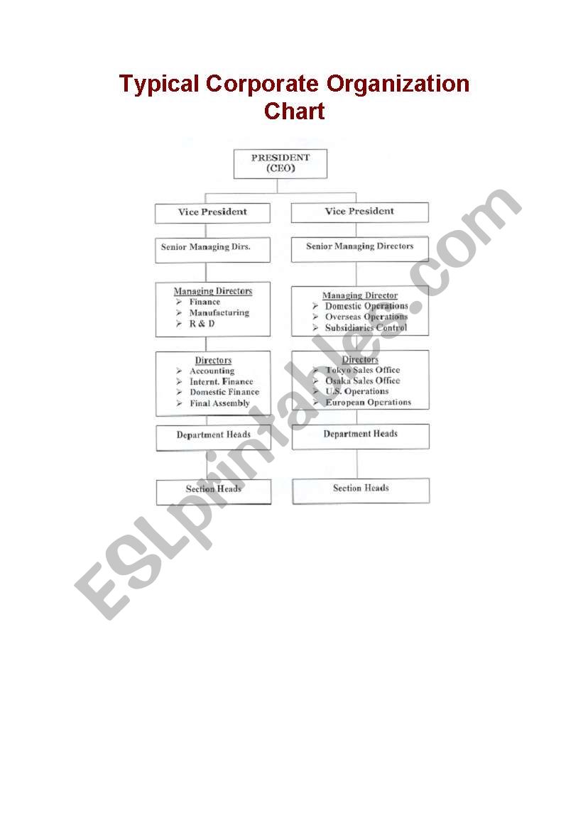 Organisation chart in a company