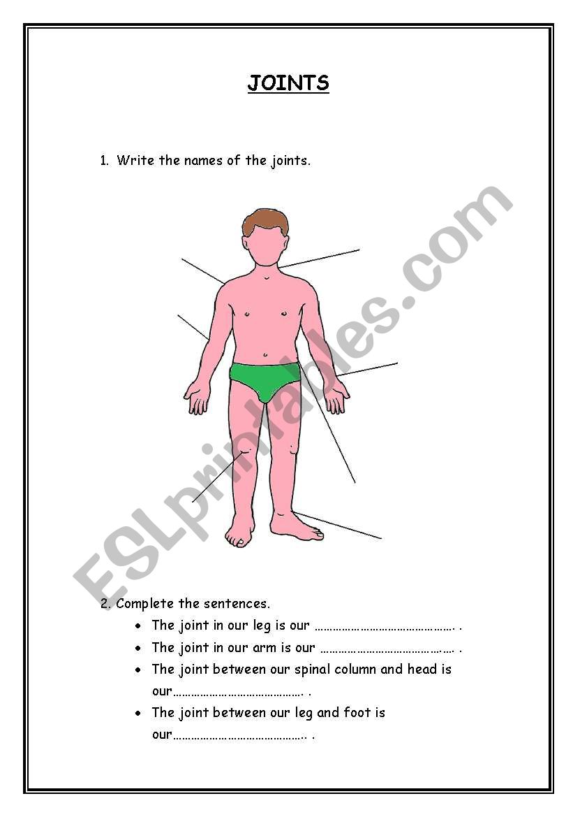 JOINTS worksheet