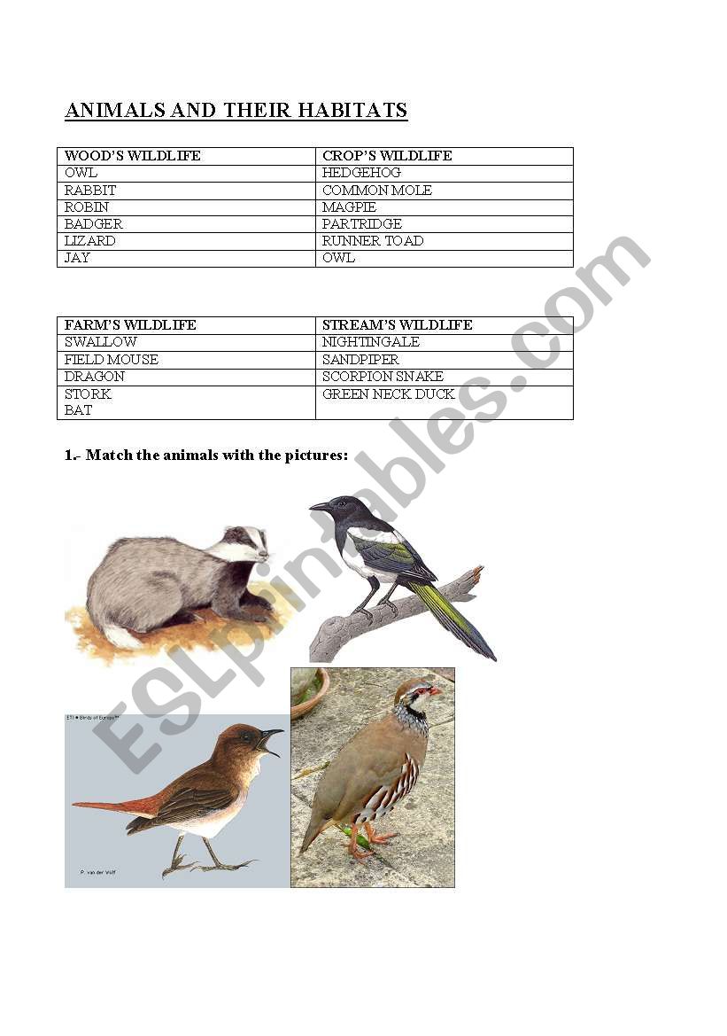 ANIMALS AND THEIR HABITATS worksheet