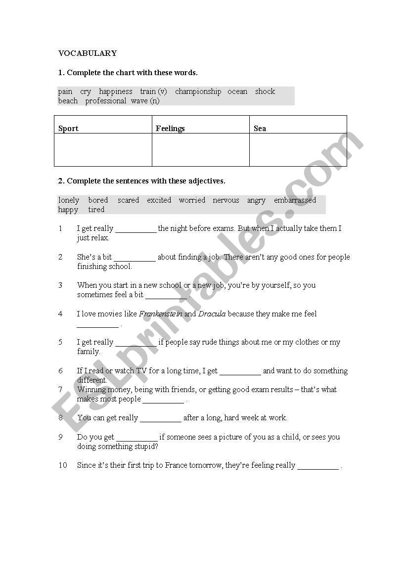 VOCABULARY worksheet