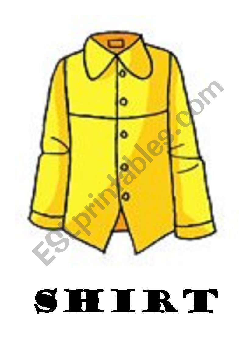 CLOTHES FLASHCARDS worksheet