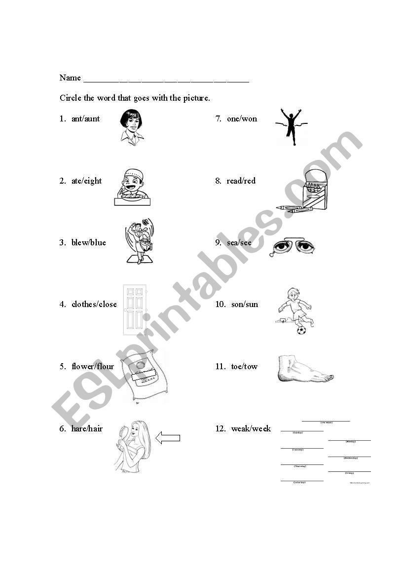 Homonyms with pictures worksheet
