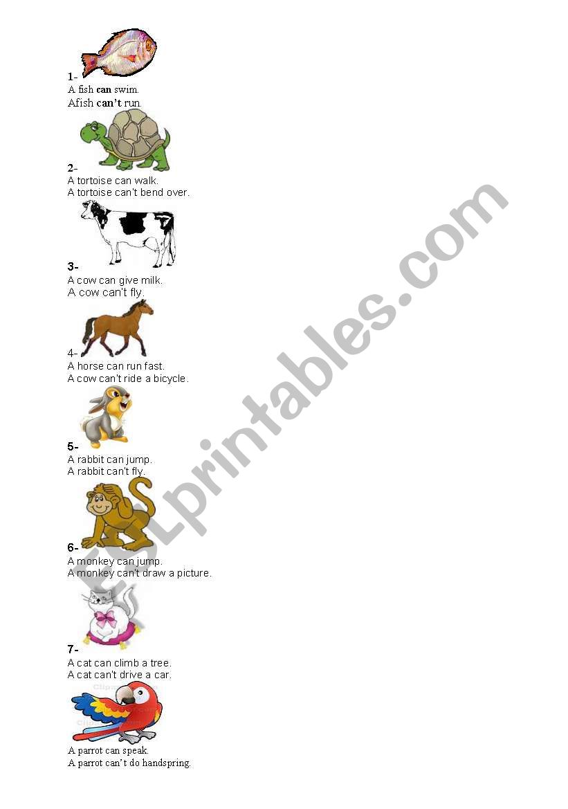 animals worksheet