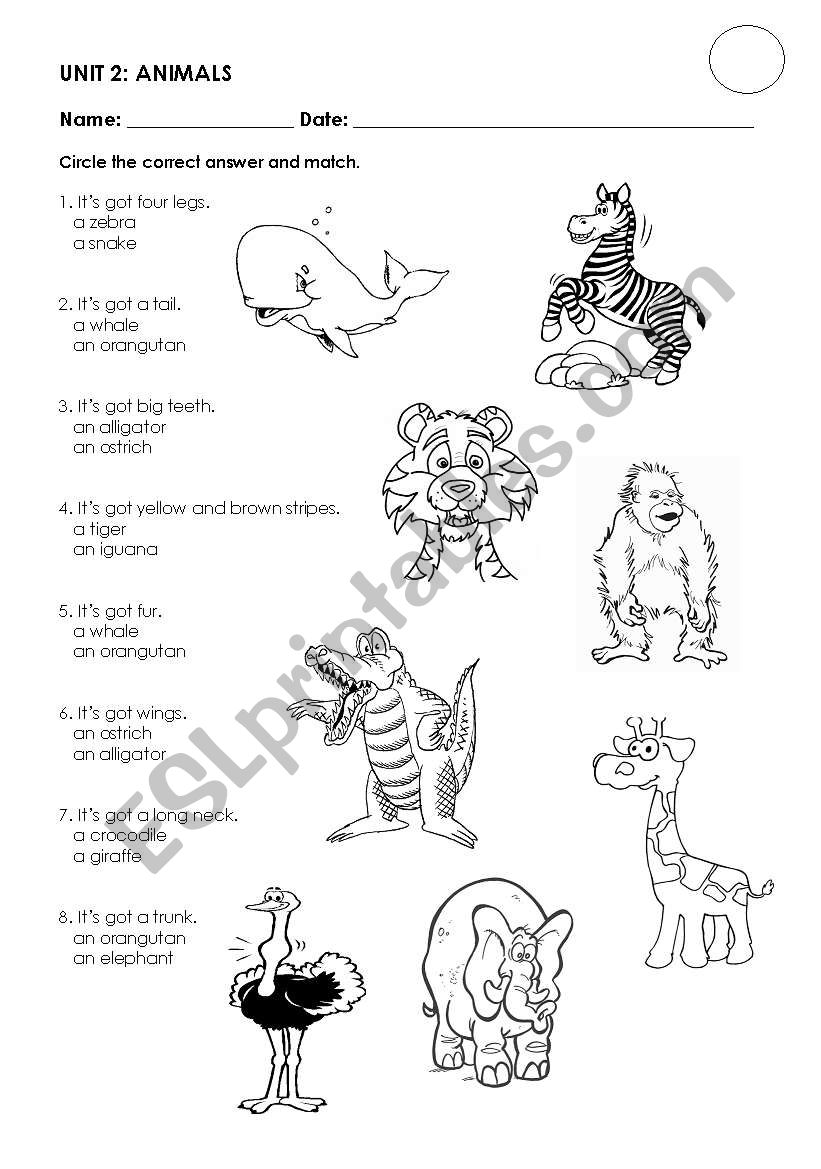 WILD ANIMALS worksheet