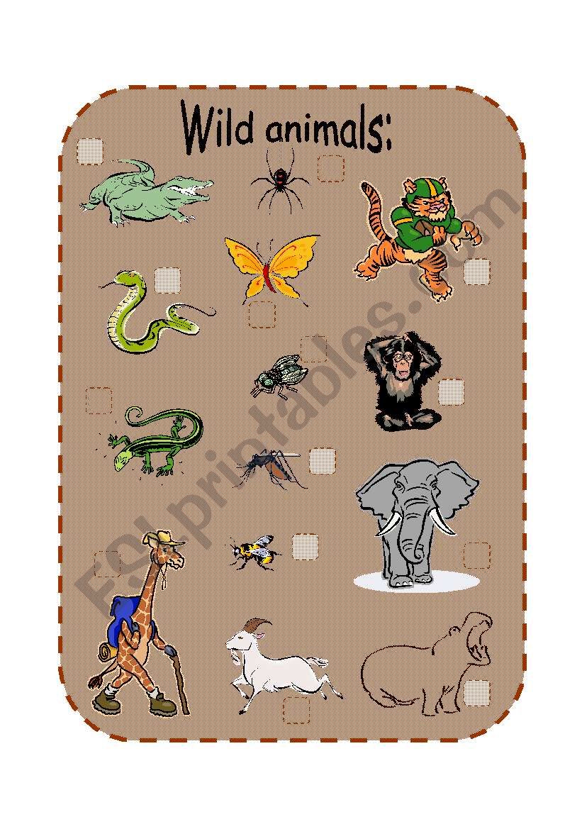 animals worksheet