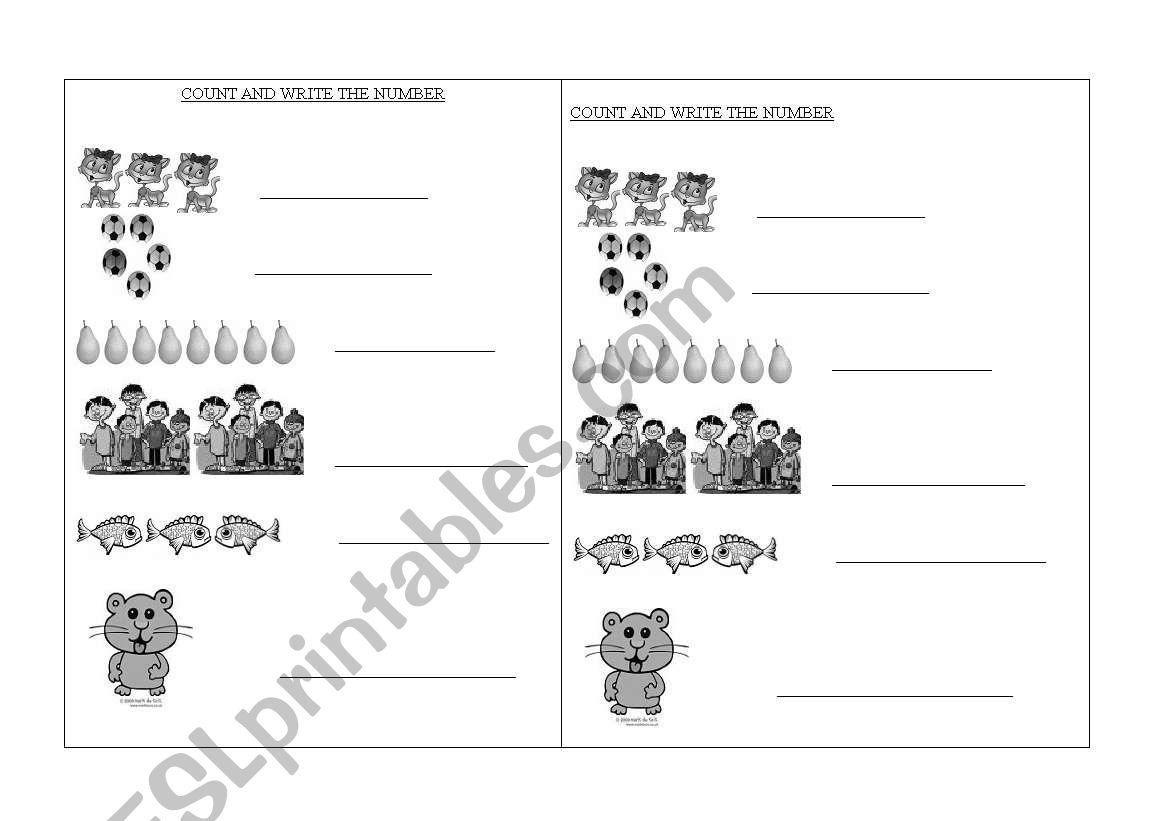 numbers worksheet