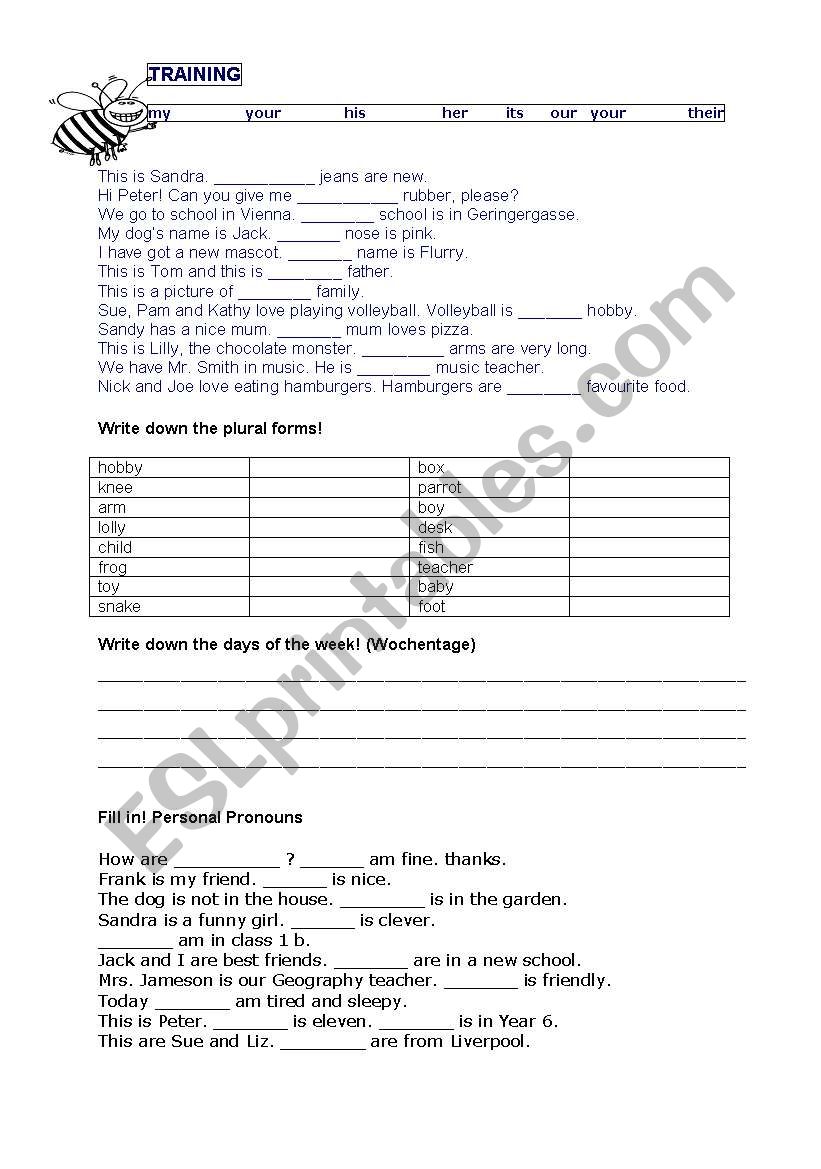 Grammar Training worksheet