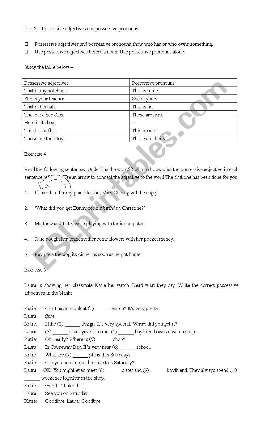 Possessive adjectives and possessive pronouns