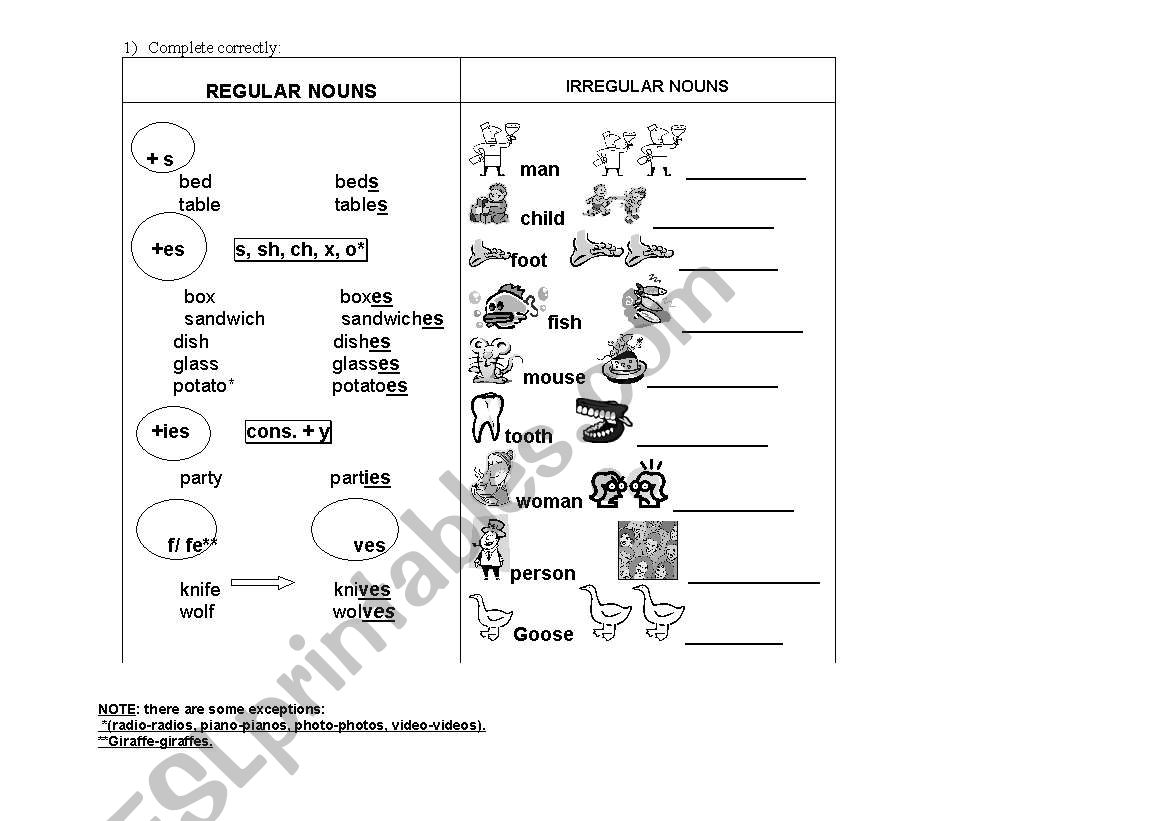 Plurals worksheet