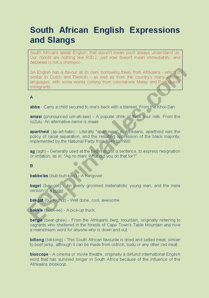 a mini list about south African English