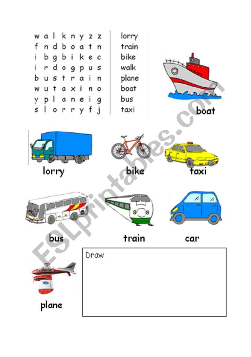 Transport worksheet