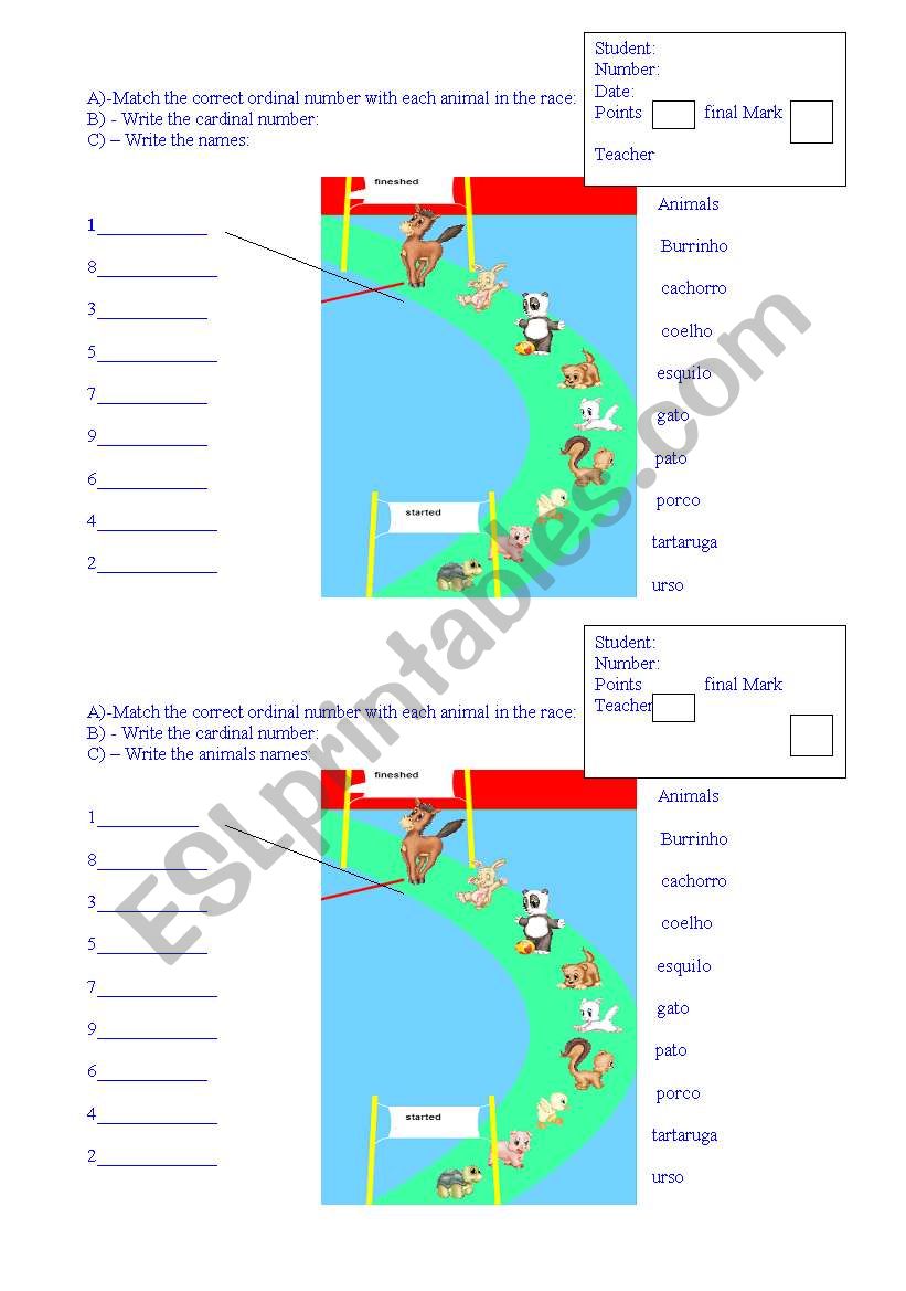 animals racing worksheet