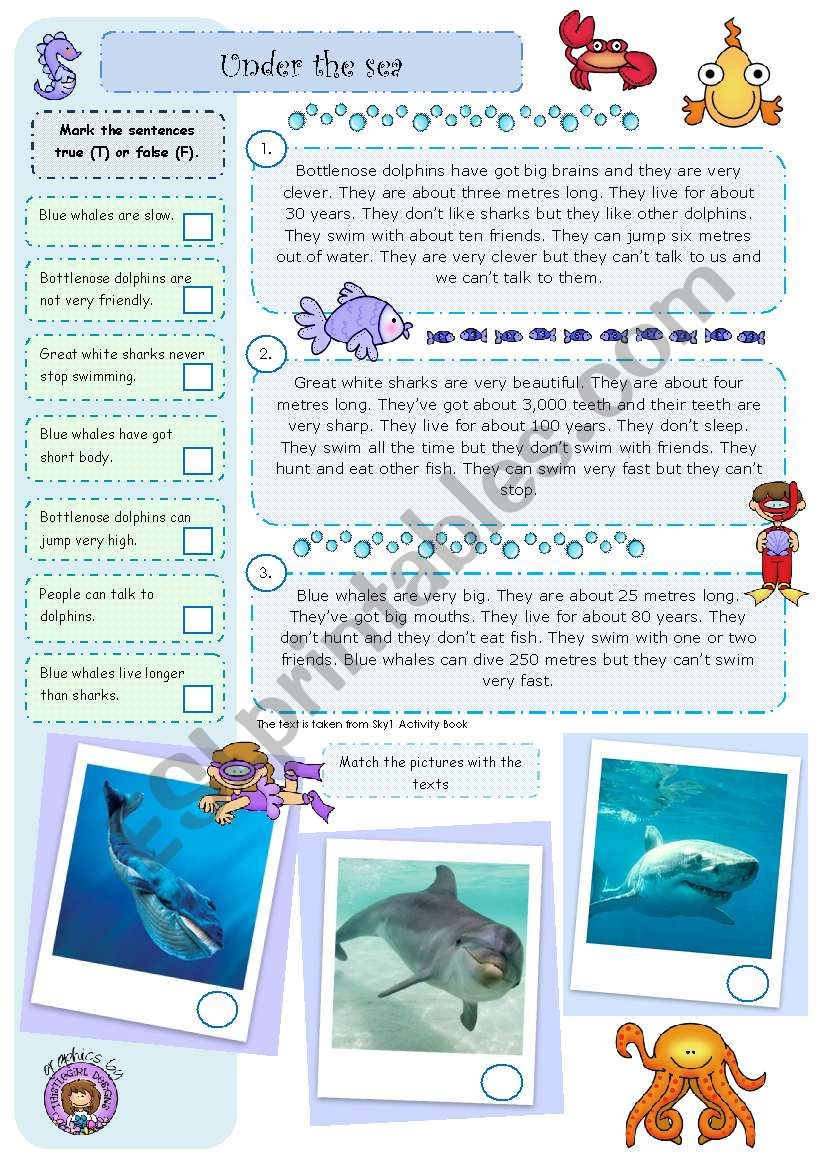 Under the Sea worksheet